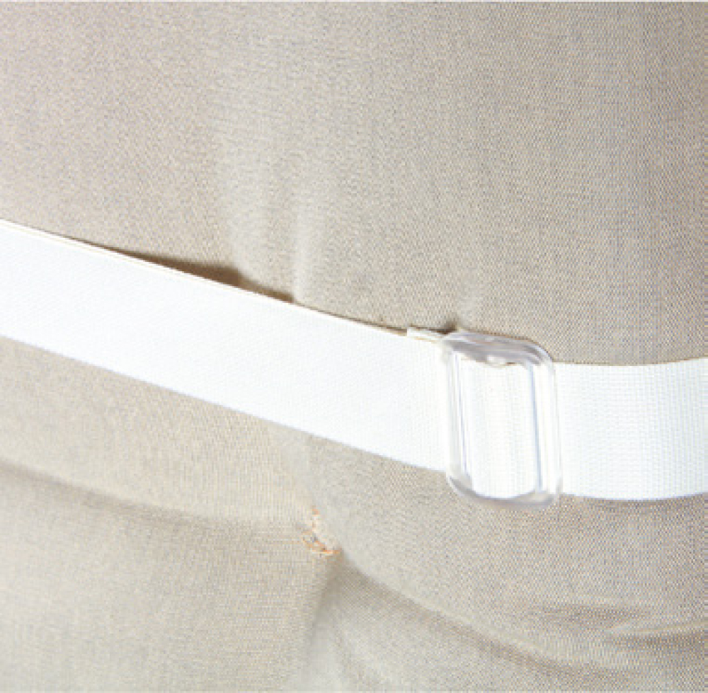 Cinghia di sostegno posteriore